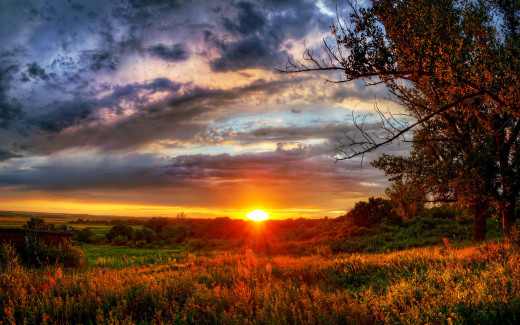 714277 (a): :2560x1600